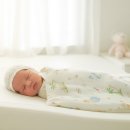 애니멀즈 | 머미쿨쿨 신생아 모로반사 좁쌀이불 소형 대형 애니멀즈 완벽 가이드