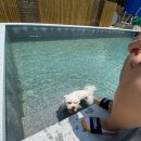 리멤버파크 이미지