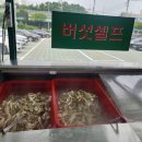 [정직한 후기] 용인 신갈동 맛집, 청년농부 버섯칼국수, 가성비 좋은 곳 ???