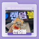 랜덤볼 | 대구 동성로 신기한 가챠샵 후기! - 랜덤볼 리뷰!