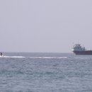 VM-17-014