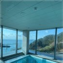 더레지아A 이미지