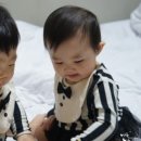 소랑제 돌담 이미지