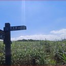 무장사지 화장실 이미지