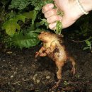 재란농장 이미지