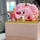 가족과 함께 케이크 만들기 | 속초 과자의성 케이크 만들기 체험 후기 – 가족과 함께하는 달콤한 추억