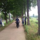 공주공원 이미지