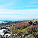 태흥1리 이미지