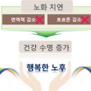 남양알로에 이미지