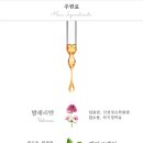 라파테라피 이미지