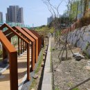 일광중학교 티스토리