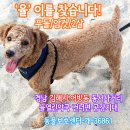 사거리열린약국 이미지