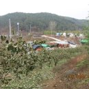 덕천교차로 이미지