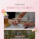 연세W산부인과 네이버블로그