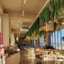 통일애견 | [대부도 베이커리카페] 대부도 오션뷰 카페 애견동반 카페 더라탄 방문후기