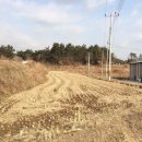 송학동-05 이미지