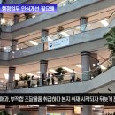 조달청 책임감없는 행정업무 인식개선 필요해 뉴스메타TV 권민정기자 대전청사 행정부 임기근청장 기획재정부 건축물 내장재 불연재 흡음재 이미지