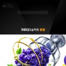 포도학원