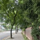 샘소나이트전주점 | 전주 롯데백화점 뜨개 팝업 베른 방문 후기