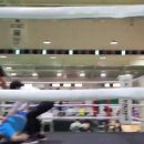 화랑 (권투) 이미지