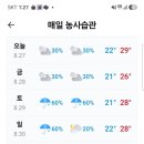 주철 형님 만나기로 했다 이미지