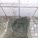 미래종합설비보일러 | 연재종합설비 제주 이용후기! 제주하수구, 제주누수, 보일러시공까지 한 번에