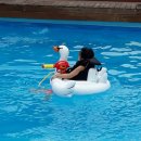 자연숲펜션 이미지