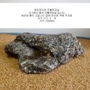 장군석 이미지