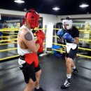 복싱바이러스 이미지