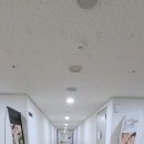 엘림기프트