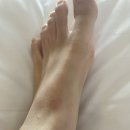 괌 6박7일 신혼여행 블로그 2탄 (넷째~다섯째날) (괌 gpo, 두짓타니, k마트, 소이(soi), 알프레도...