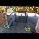 지긋지긋한 쥐와 뱀의 침입을 막으려 닭장 바닥에 철망 깔기 이미지