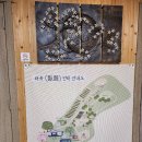 와유민박
