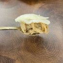 태령 | 창원 가로수길 맛집 _ 태령막국수 소갈비찜 본점 후기