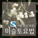 가평삼성의원 이미지