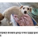 듀