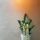 테라플라워 이미지