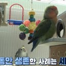 학계농장 Daum카페