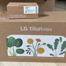 상추집 | 틔운 미니 깻잎 상추 키운 후기 집에서 채소 키우기 가능?