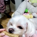 에이치디식품 이미지