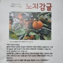 헬로감귤