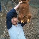산닭백숙 이미지