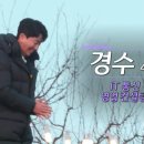 경수컨설팅