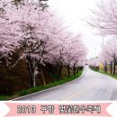 벚꽃한우 이미지