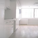 서초레몬 이미지