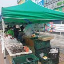 형준축산 Daum카페
