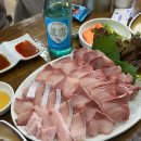선유도횟집 | 선유도역 맛집 다미횟집 내돈내산 대방어회 맛집 중짜 후기