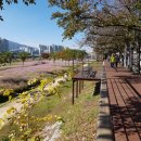 태화십리대숲먹거리단지 이미지