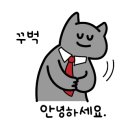 스테이선선 이미지