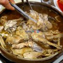 삼보탕 티스토리